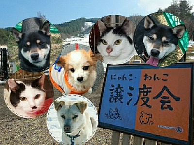 譲渡会は5/6(日)です！