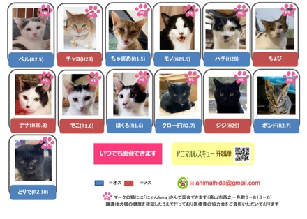 里親募集中犬猫一覧です