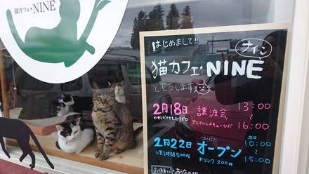 本日 譲渡会開催します♪