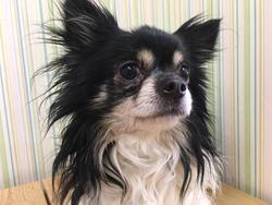 ■クオーレさんで待ってます■