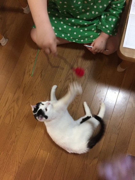 ルルくん 幸せ報告