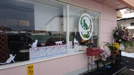 本日 譲渡会開催します♪