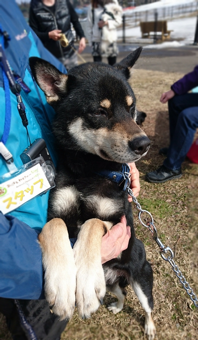 ありがとうございました