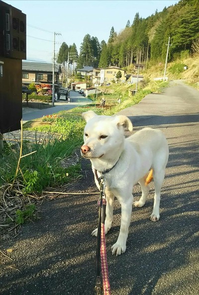 ビビ、だいぶ慣れてきました！