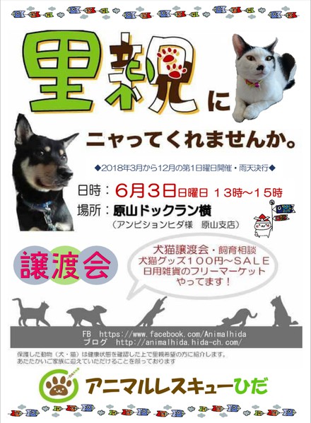ルルくん 幸せ報告