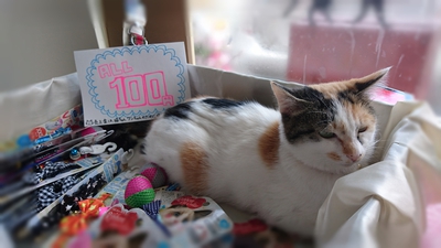 ありがとうございました！