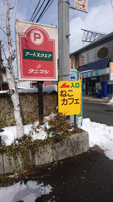 本日 譲渡会開催します♪
