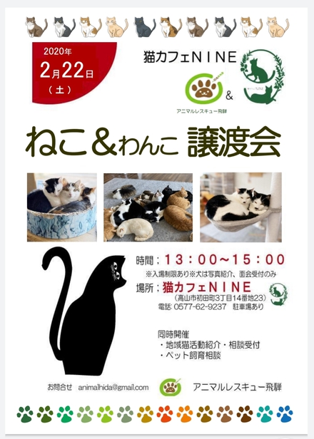 2月22日(土)は猫カフェ譲渡会です♪