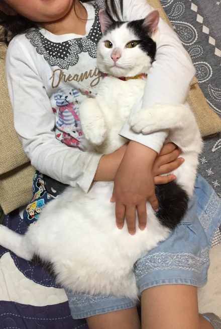 ルル、頑張ってます