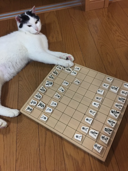 ルルくん 幸せ報告