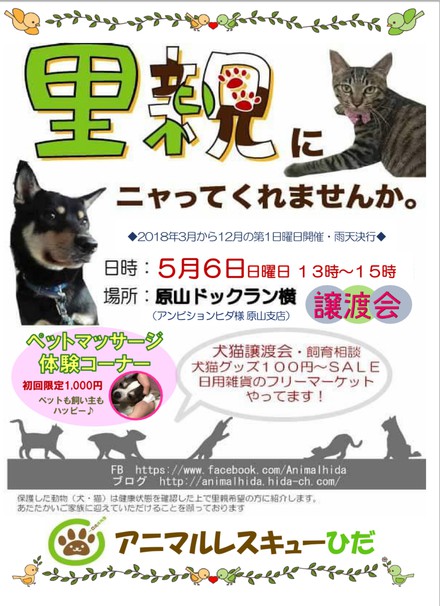クールで甘えん坊のモノです