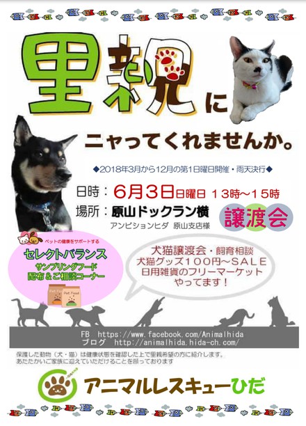 サンプリングフードの配布もあります♪