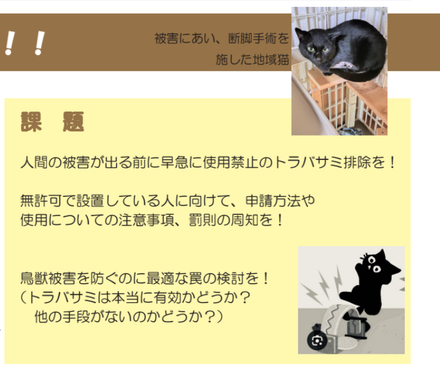 飛騨からトラバサミ被害を無くしたい！テトラちゃん里親募集