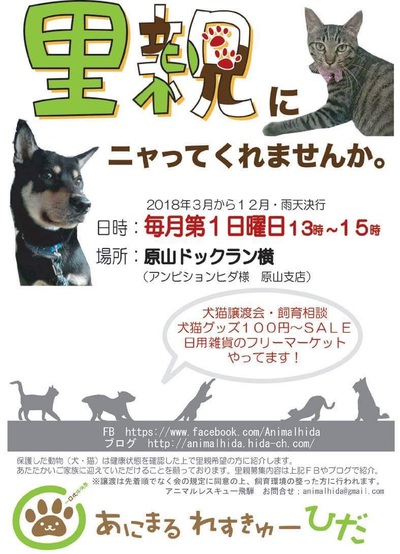 本日ワンニャン譲渡会です♪