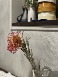 【部屋はあるのに居場所がなかった】