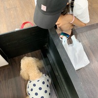 お祝いに来てくれた可愛いお客さま♡