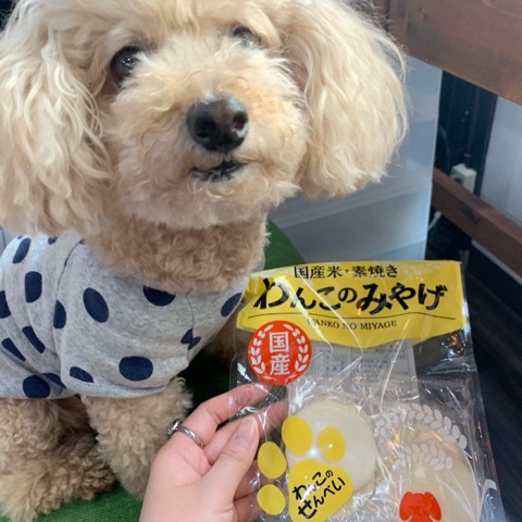 お祝いに来てくれた可愛いお客さま♡