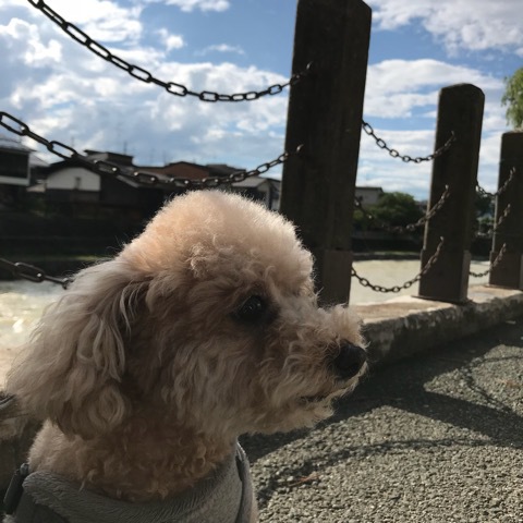 久しぶりの青空♪と、おすすめリング♡
