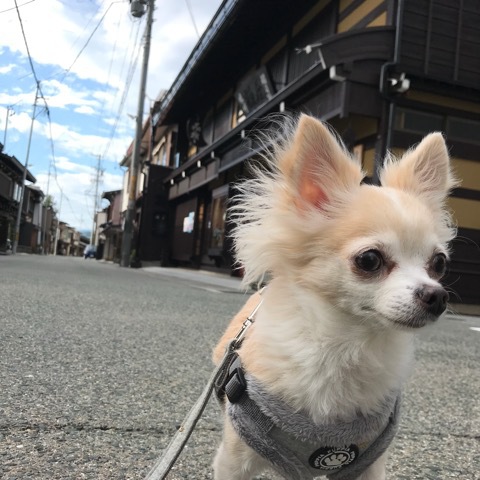 久しぶりの青空♪と、おすすめリング♡