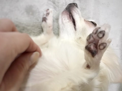 これで年を越せます♡