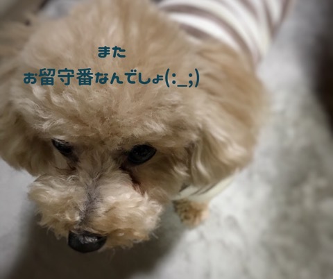 忘年会に潜入♪