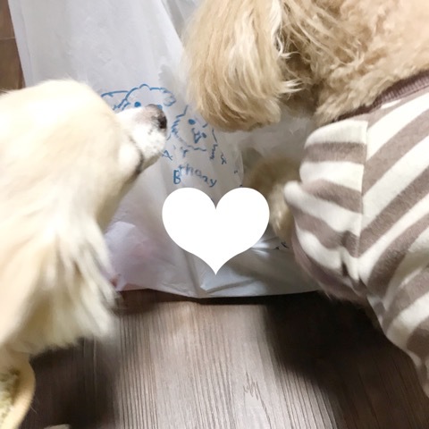 誕生日☆