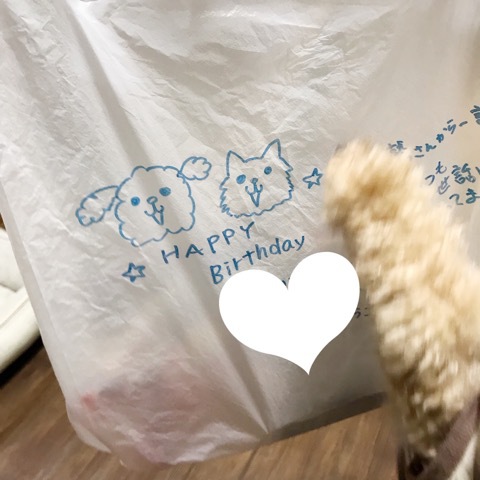 誕生日☆