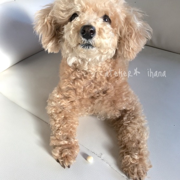 プチネックレスできました♡