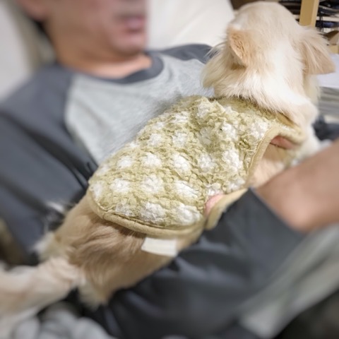 サイズ展開はじめます♪