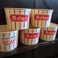 カップでグリーンを飾るとか・・オシャレ♡