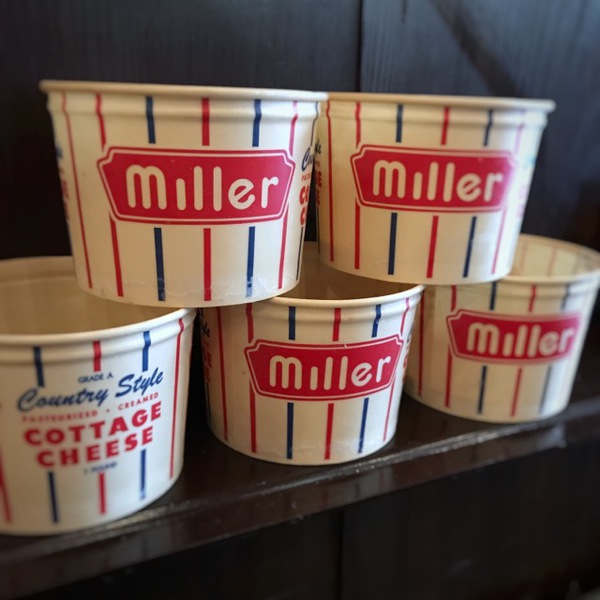 カップでグリーンを飾るとか・・オシャレ♡