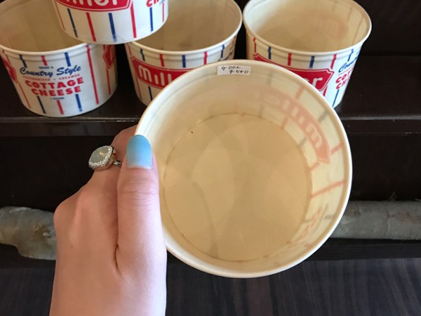 カップでグリーンを飾るとか・・オシャレ♡