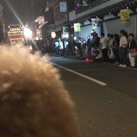 秋の高山祭・チョコビも見学♡宵祭