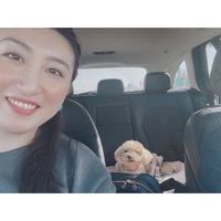 3年ぶりに。