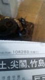 カブトムシ　元気です。