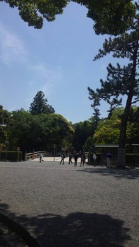 飛騨高山に帰ってきました