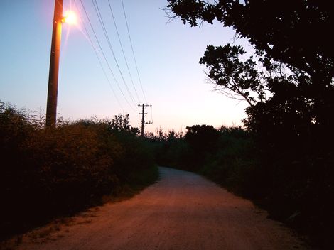黒島の道