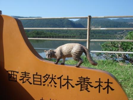 西表…最後の朝