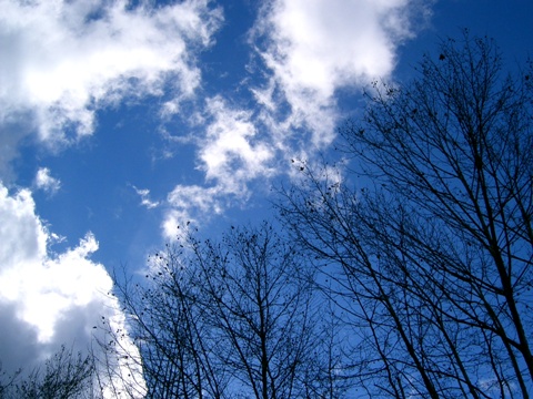 城山公園で…