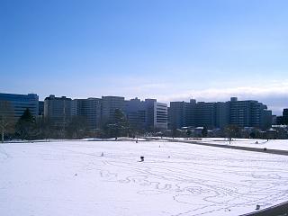雪が降ると