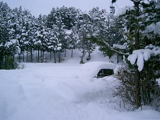 雪が降ると