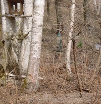 八ヶ岳の素敵カフェ