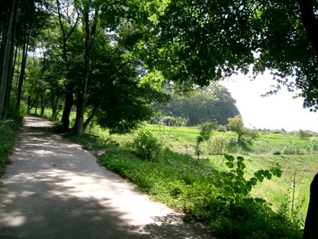 松倉山荘＆文学散歩道