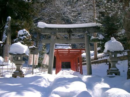 雪の花♪城山散歩