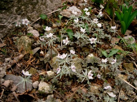 城山で…喫茶「すぎ」