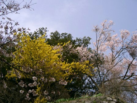 「いい」…北山公園