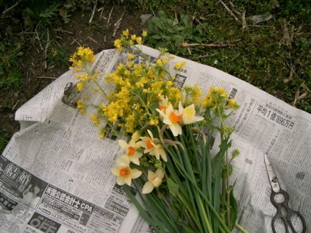 は、畑が！…お花畑？！