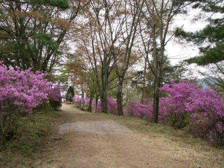 水無神社例祭