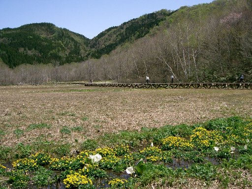 感動！池ヶ原湿原