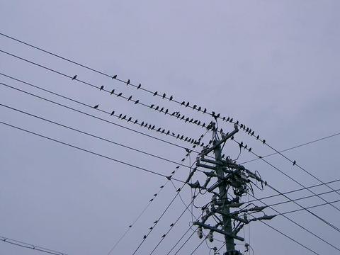 夕方のこと